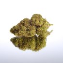 CBD Blüten Gelato 361 1g lose Ware